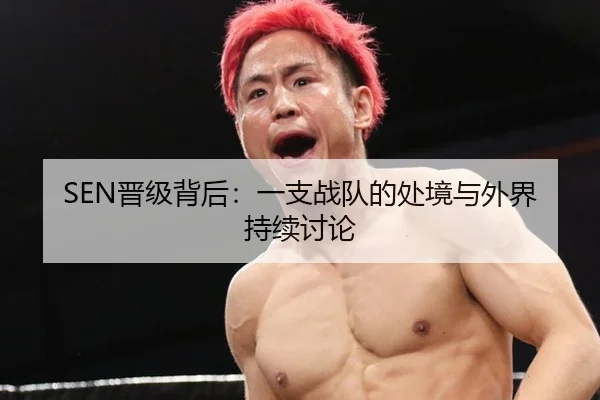SEN晋级背后：一支战队的处境与外界持续讨论